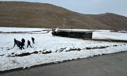 Tatvan'da trafik kazası: Tır şarampole yuvarlandı