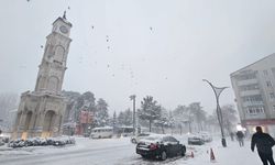 Tatvan’da Kar Yağışı Sonrası Soğuk Hava Etkili