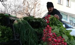 Ahlat'ın Soğuğuna Meydan Okuyor, Tezgâhından Yeşilliği Eksik Etmiyor