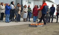 Tuşba Sağlık Müdürlüğü çalışanlarına afet eğitimi