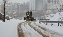 Bitlis’te kar yağışı etkili oldu: Köy yolları kapandı!