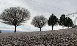 Ahlat'ta Mart Kendini Gösteriyor