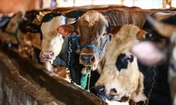 2026 Kurban Bayramı ne zaman başlıyor? Tatil ne kadar sürecek?