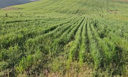 SGK bu kez taşınmaz satacak: Şartlar ve tarih açıklandı