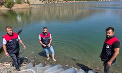 Beyhan Barajı’na 50 Bin Yavru Balık Bırakıldı