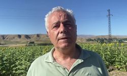 Doğu’da ayçiçeği ve mısır üretimi artıyor