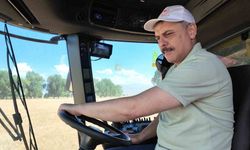Eğitim ve tarım el ele: Erzurum’da öğrenciler ilk buğdaylarını topladı