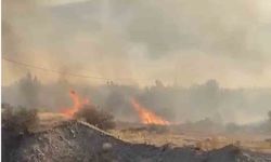 Elazığ’da örtü yangını
