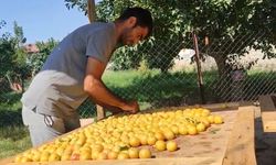 Iğdır’da 40 derece sıcakta ekmek parası