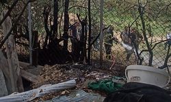 İtfaiye ekiplerinin yangınlarla mücadelesi