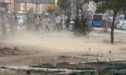 Sahra çölü değil Yüksekova