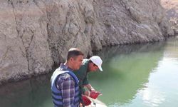 Sazangiller av yasağı sona erdi
