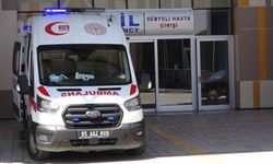 Sıcak hava dalgası Van’da acil servislerde yoğunluğu artırdı