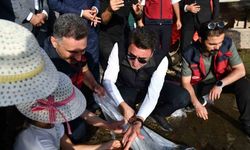 Tunceli’de 850 bin adet balık suyla buluşturuldu