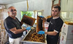 Tunceli’de köy işlerinden üniversiteye: Çemişgezekli gencin başarı hikâyesi
