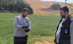 Yaralı baykuş ekipler tarafından kurtarıldı