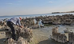 Van Gölü'nde kuraklık alarmı!