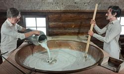 Lezzetin Hafızası: Kars Peynirleri Müzede Yaşatılıyor