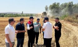 Ahlat’taki buğday hasat alanlarında inceleme