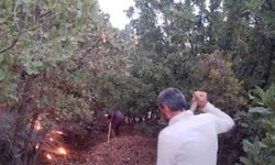 Elazığ’da ağaçlık alanda yangın