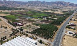 Elazığ’da üretilen milyonlarca fidan, ülkeye nefes oluyor