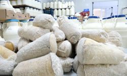 Kahvaltı sofralarına 3 bin rakımdan gelen lezzet: Erzincan tulum peyniri