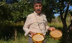 Malatya’da bal hasadı başladı