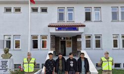Tatvan’da 4 düzensiz göçmen yakalandı