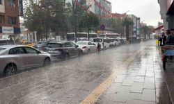 Van’da sağanak yağış