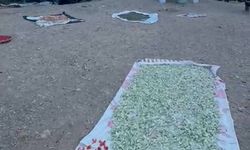 Hizan’ın dağ köylerinde kışlık kurutmalık hazırlıkları başladı