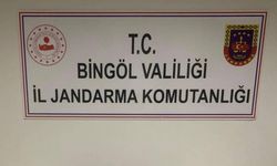Bingöl’de yasaklı madde ve kaçakçılıkla mücadele: 34 gözaltı