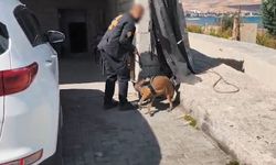 Bitlis’te flaş operasyon: 5 kişi cezaevine gönderildi