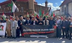 Adilcevaz’da Filistin’e Destek Protestosu