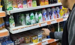Tatvan’da gıda denetimleri sürüyor