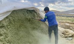 Ağrı’da besiciler kış hazırlıklarına başladı