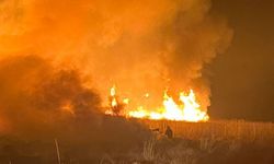 Hakkari’de kuş cennetinde yangın