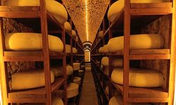 Kars Peynir Müzesi yoğun ilgi görüyor