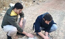 Köpeklerin saldırdığı yavru dağ keçisini 3 kilometre sırtında taşıdılar