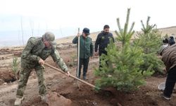 Şehit arkadaşlarının hatırasına 2 bin 400 rakımlı tepeye ağaç diktiler