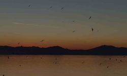 Van semalarında uçaklar, kuşlar ve kızıl günbatımı büyüledi