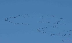 Zorlu göçün durağı Erçek Gölü