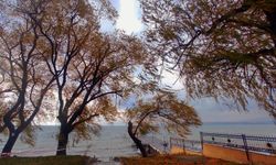 Ahlat’ta rüzgar ve soğuk hava etkisini gösteriyor