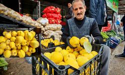 Ahlat’ta yerli ayvaya ilgi artıyor
