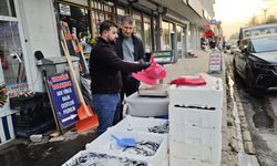 Ahlat’ta hamsi 50 liraya düştü, balıkçı tezgâhlarında yoğunluk oluştu