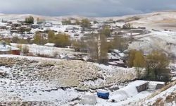 Ahlat’ta mevsimin ilk karı yağdı