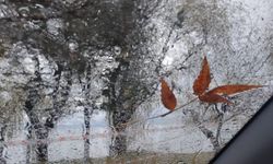 Bitlis’te soğuk ve yağmur etkisini sürdürüyor