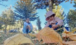 Bitlis’te çocuklar sonbaharın tadını çıkarıyor