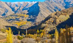 Kesan Deresi’nde mest eden sonbahar manzaraları