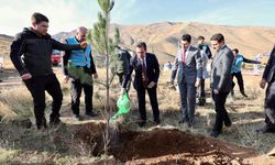 Bitlis’te özel gün, özel anlam: 250 fidan adalet için toprakla buluştu