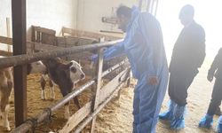 Adilcevaz’da 5 bin litre süt üreten tesise teknik ziyaret